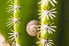 IMG_8037_site_sd-scaled